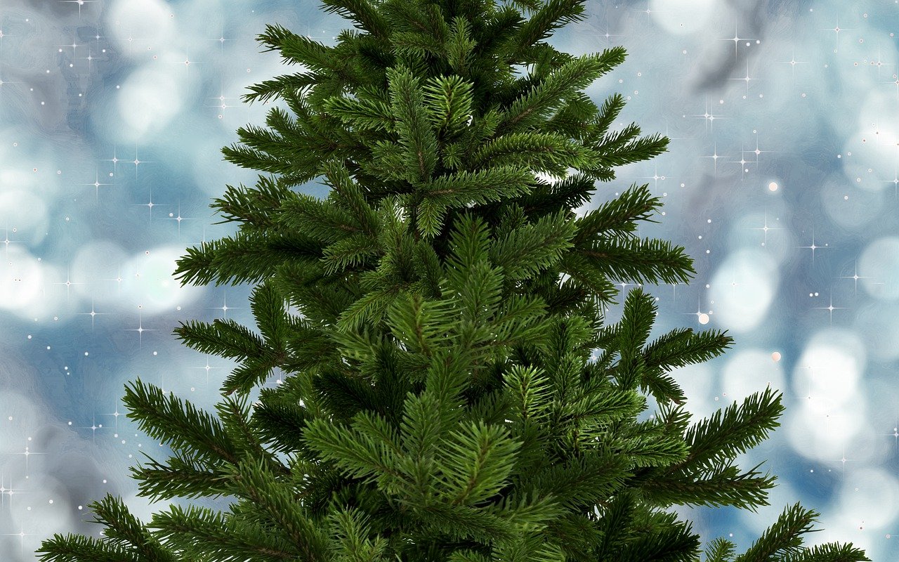 Weihnachtsbaum
